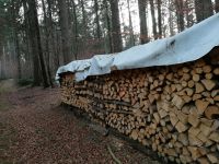 Brennholz, Kaminholz, Feuerholz, Buche, Fichte Bayern - Steinhöring Vorschau