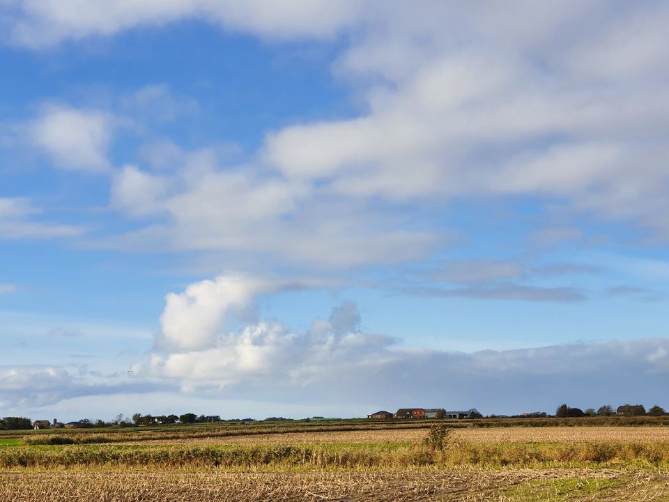 Nordseeurlaub unter Reet ab 160,- in Pellworm