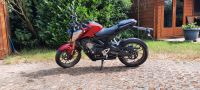 Honda CB 125R Rheinland-Pfalz - Konz Vorschau