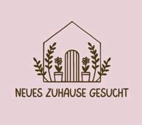 Wohnung,mind. 3Zi.,gesucht (Mutter/Kind), BW,Umgebung,Edertal Hessen - Bad Wildungen Vorschau