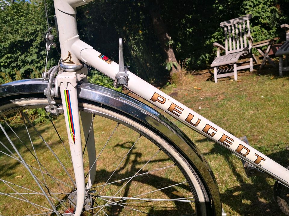 Vintage Peugeot Rennrad PL8 1970er Jahre RH 57 in Köln