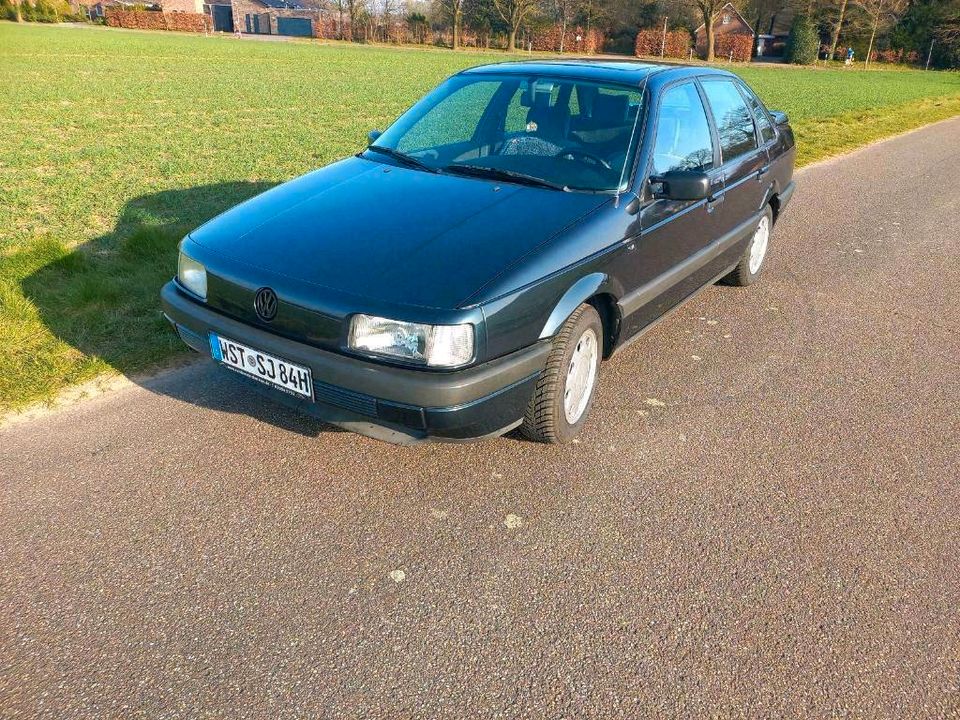 PASSAT 35I in Bad Zwischenahn