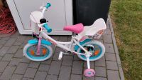 Kinderfahrrad Paw Patrol Güstrow - Landkreis - Bützow Vorschau