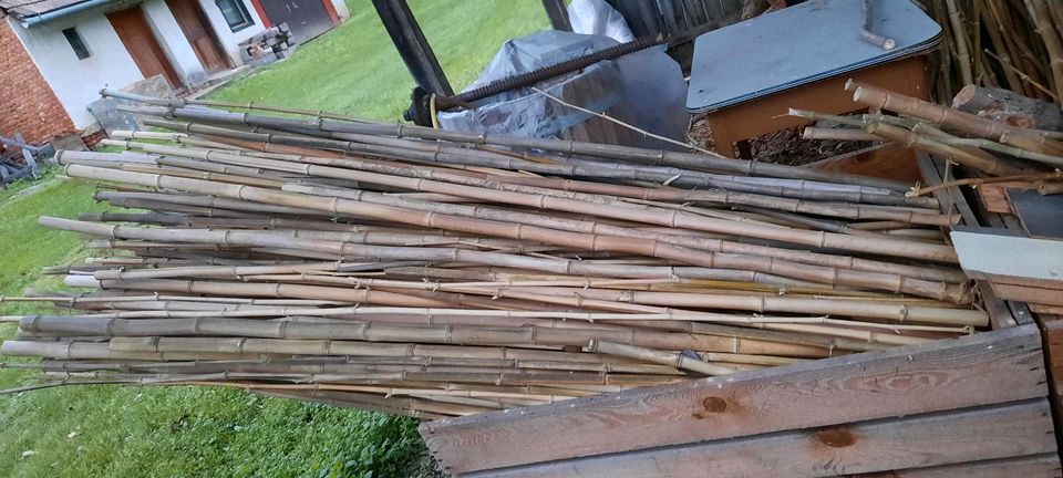 Bambusstangen Bambusstab verschiedene Größen u Längen zu verkaufe in Alfdorf