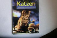 Buch Katzen - Wissenswertes für Katzenliebhaber - nicht benutzt Bayern - Pfarrkirchen Vorschau