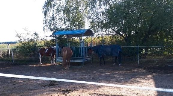 Offenstall für Allergiker Wallach/Stute in Didderse