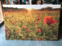 Mohn im Sonnenuntergang, Bild auf Spannrahmen Nordrhein-Westfalen - Nideggen / Düren Vorschau