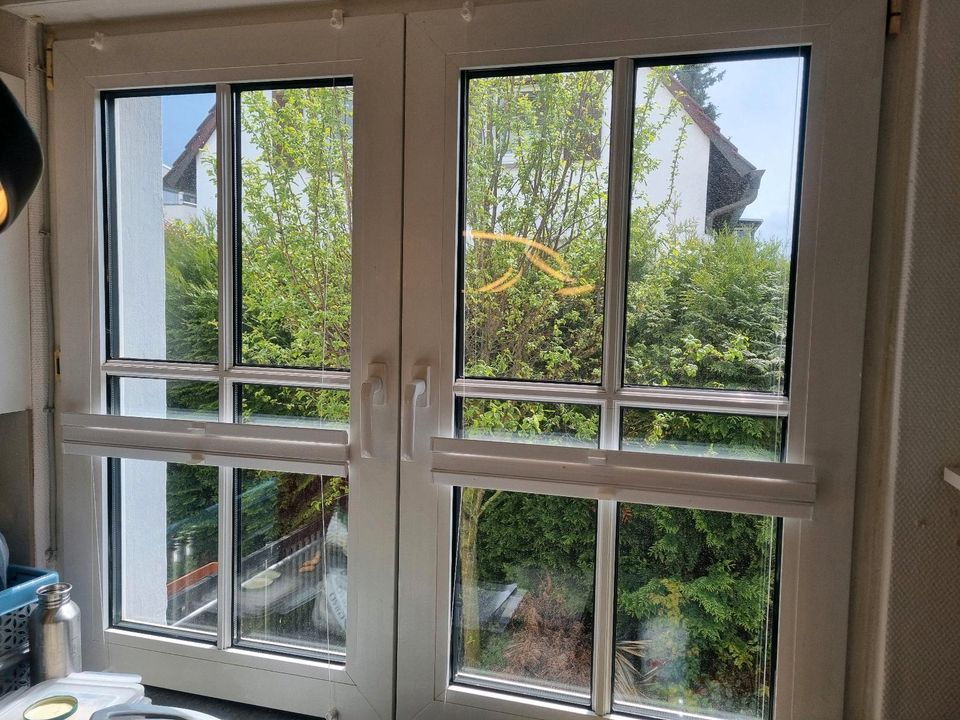 Fenster Kunststoff 2 fach verglast weiß Wiener Sprossen Raffstore in Hochheim am Main