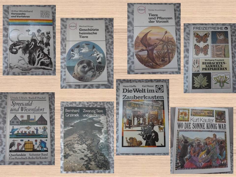 DDR Bücher Kinderbücher, auch für Erwachsene interessant in Osterwieck
