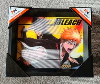 Bleach 3D Poster Nordrhein-Westfalen - Büren Vorschau