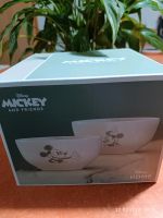 Mickey Maus Schüssel Bayern - Cham Vorschau