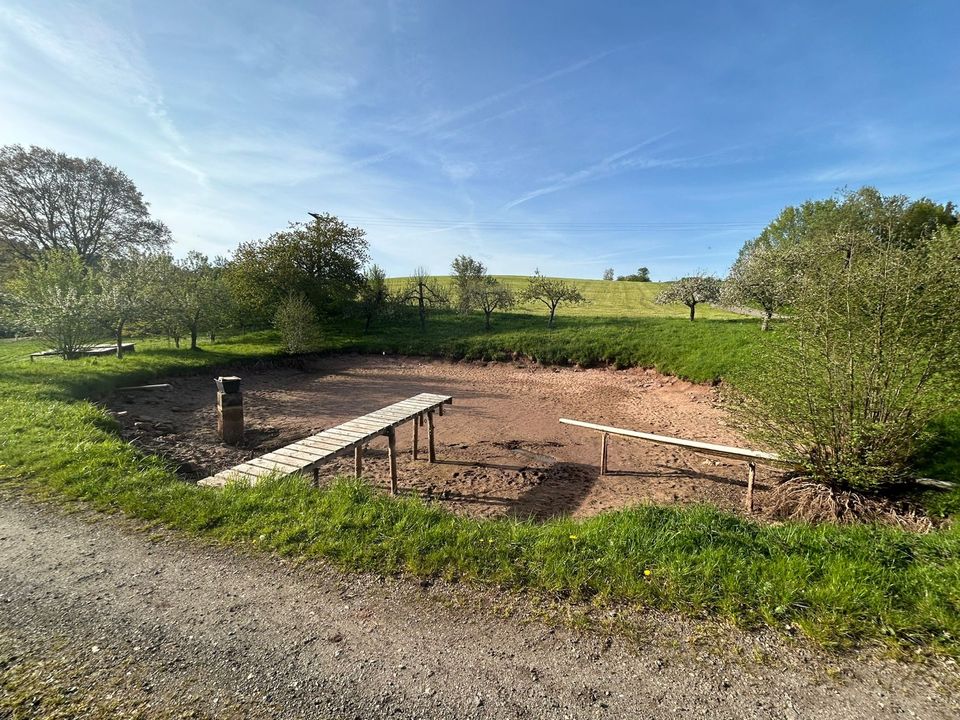 Weiher Gewässer Teich zu verpachten in Markt Erlbach