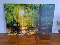 Leinwandbild 120 x 80 cm neuwertig Nordrhein-Westfalen - Nordkirchen Vorschau