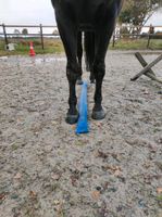 Bewegungstherapie - Pferdephysiotherapie Niedersachsen - Papenburg Vorschau