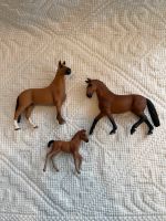 Schleich Dressur Set Familie 3-teilig Bayern - Schmidgaden Vorschau