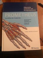 prometheus allgemeine anatomie und bewegungssystem Bayern - Finsing Vorschau