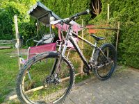 Bulls 26 Zoll Fahrrad Baden-Württemberg - Wüstenrot Vorschau