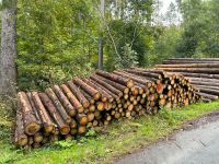 Stammholz , Brennholz , trocken !! Thüringen - Blankenhain Vorschau