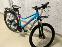 Damen Mountainbike von Carver mit Zubehör Stuttgart - Sillenbuch Vorschau