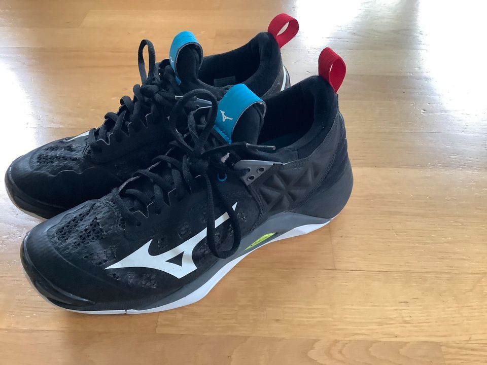 Mizuno Wave Momentum, Volleyballschuhe Gr. 40 in Berlin