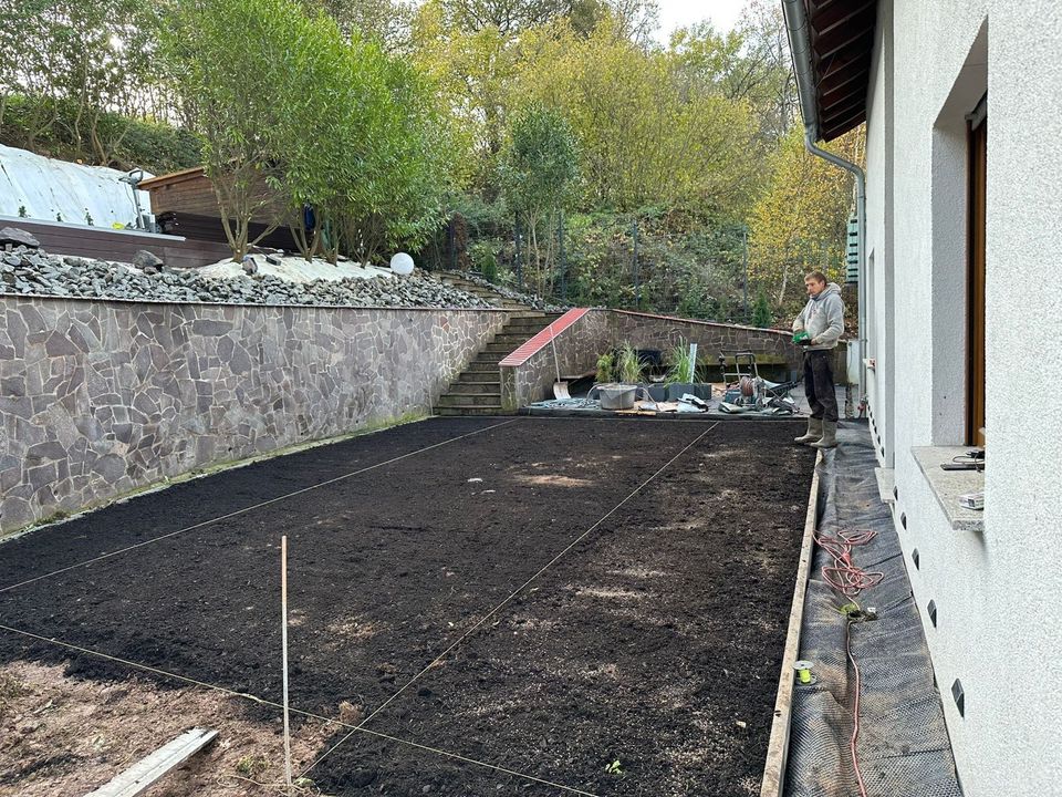 Rasen verlegen, Gartengestaltung, Teich bauen, Einpflanzung in Berlin