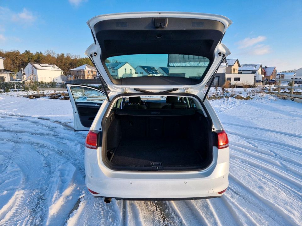 Volkswagen Golf 7 Allstar Variant 1.2 TSI DSG in Jembke