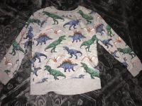 h&m pullover sweater dinosaurier grau 110/116 Sachsen - Zwoenitz Vorschau