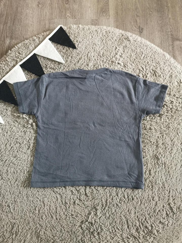H&M kurze Hose/Shorts Tiere und Zara Oversize T-Shirt 86/92 Set in Duisburg