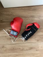 Boxhandschuhe pro Bayern - Erlangen Vorschau