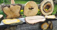 große dekorative Holzscheiben Baumscheiben Bayern - Tapfheim Vorschau