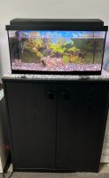 Aquarium 60 Liter zu verkaufen. Hessen - Fulda Vorschau