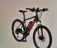 EBIKE Fischer Montis EM 1726 Bayern - Eichstätt Vorschau