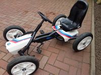 Berg BMW Gokart Obervieland - Arsten Vorschau