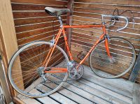 Vicini Rennrad retro orange RH 60 Bayern - Freising Vorschau