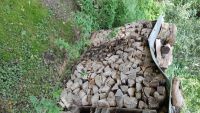 Feuerholz Brennholz Kaminholz Holz trocken ofenfertig Tonne 250€ Sachsen - Kubschütz Vorschau