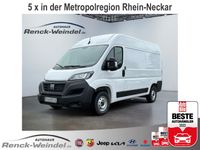 Fiat Ducato Hochr.-Kasten 3450mm L2H2 Rückfahrkam. PD Baden-Württemberg - Mannheim Vorschau