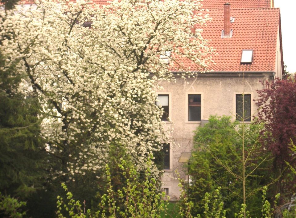 Wohnung OG in historischem Stadthaus in Lage für Altbauliebhaber in Lage