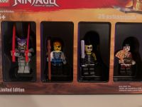 Lege Ninjago Limited Edition Minifiguren/ Selten! Schleswig-Holstein - Itzstedt Vorschau