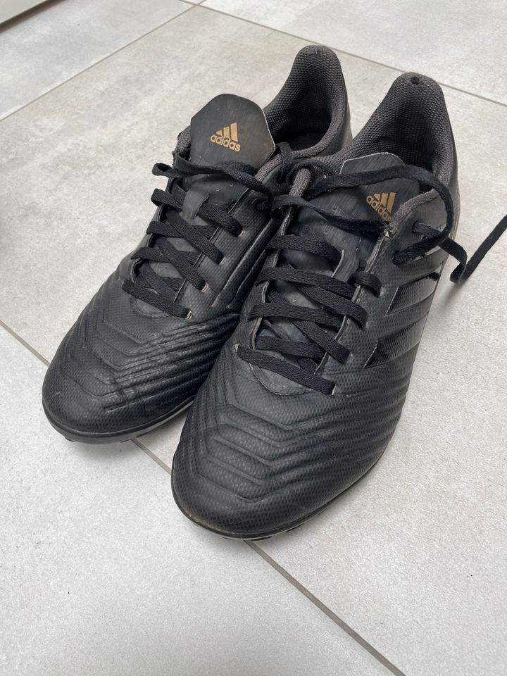 Adidas Fußball Schuhe 41 - schwarz Predator in Rostock