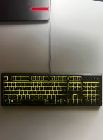 Razer Ornata Chroma QWERTZ | WIE NEU Nordrhein-Westfalen - Bottrop Vorschau