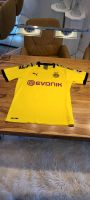 BVB Heimtrikot in L Schleswig-Holstein - Mielkendorf Vorschau