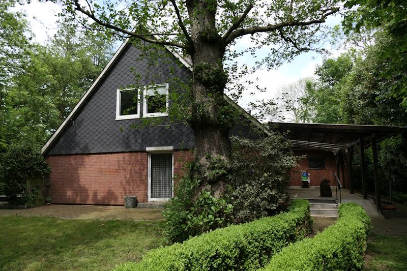21775 Steinau/ Geestland: Einfamilienhaus/ Sauna + 4 Holzhäuser m. 1404 m² Grundstück in Steinau