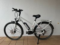 Damen E-Bike „Carver“ 28 Zoll mit 9-Gang Kettenschaltung Niedersachsen - Wendeburg Vorschau
