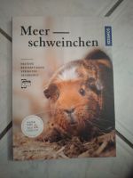 Sachbuch "Meerschweinchen" Saarland - Merchweiler Vorschau