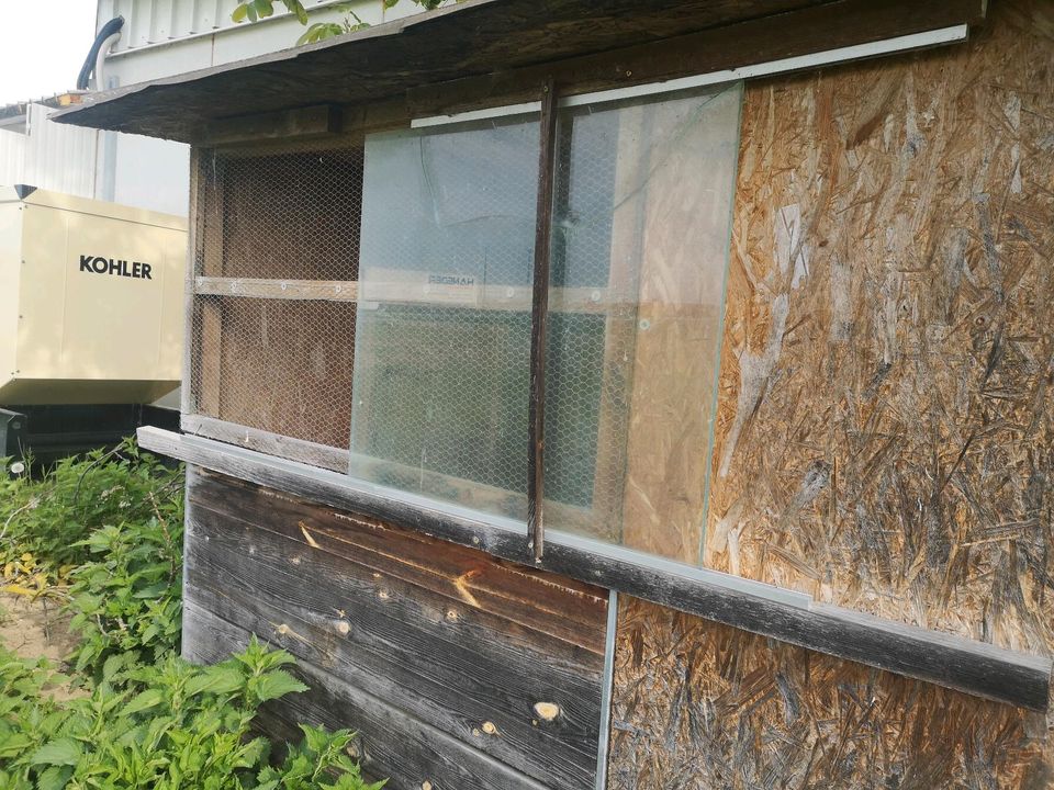 Hühnerstall Hühnerhaus  Stall mit elektrischer Klappe in Rain Niederbay