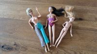 Barbie 3x zu verschenken Baden-Württemberg - Offenburg Vorschau