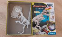 Ausgrabungs-Set T-Rex, leuchtender Dino Bayern - Kümmersbruck Vorschau