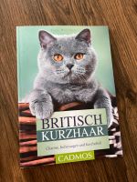 Katze 4 Bücher Bayern - Litzendorf Vorschau