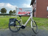 Grecos Eli 2.2 Bosch E-Bike Rücktritt 500wh 50cm Nordrhein-Westfalen - Dülmen Vorschau