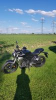 Honda CB300R, tiefergelegt Hessen - Flörsheim am Main Vorschau